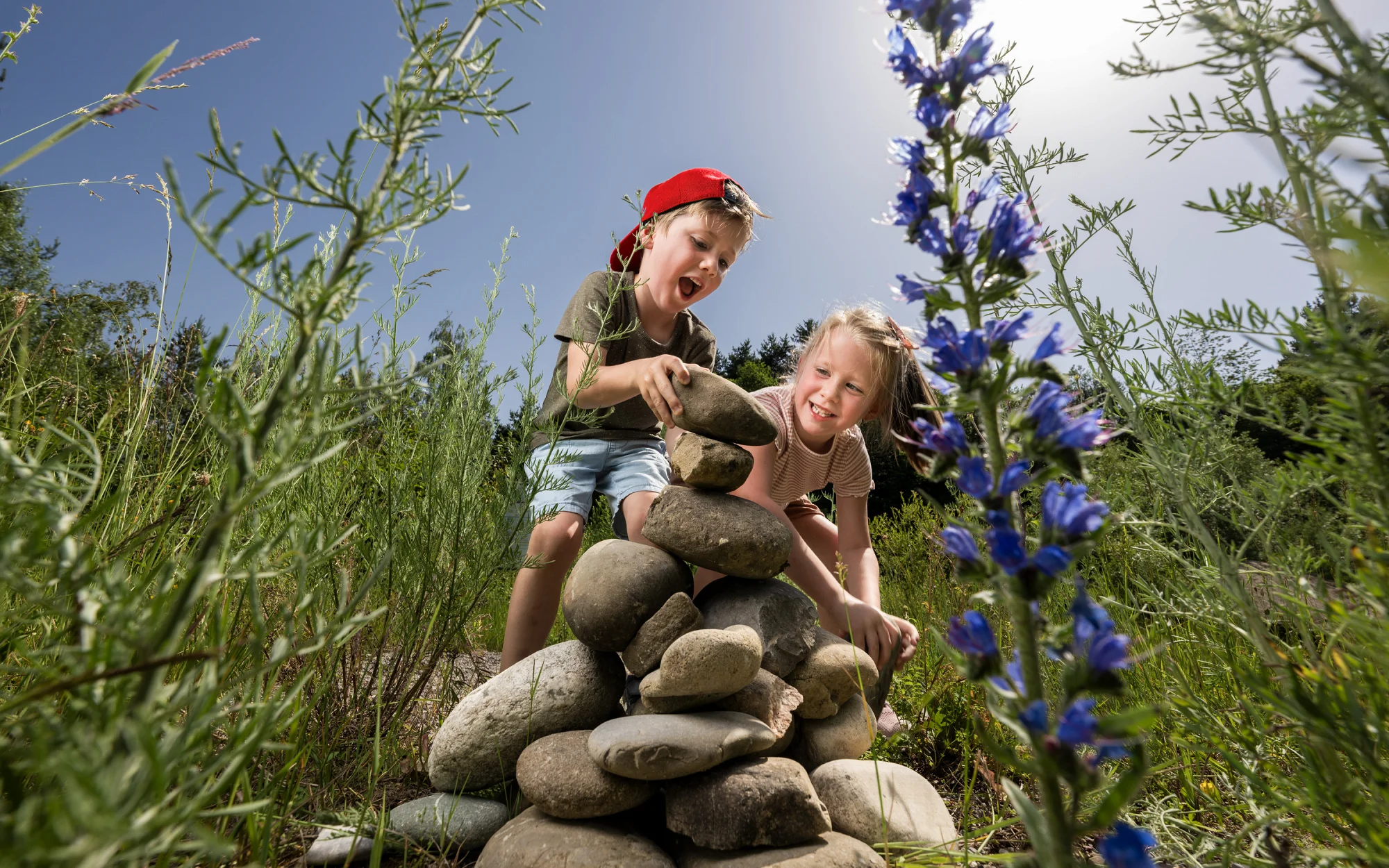 Zwei fröhliche Kinder bauen in einer Naturwiese mit blauen Blumen eine Figur aus Steinen