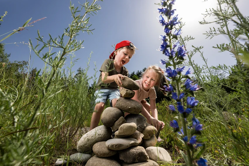 Zwei fröhliche Kinder bauen in einer Naturwiese mit blauen Blumen eine Figur aus Steinen